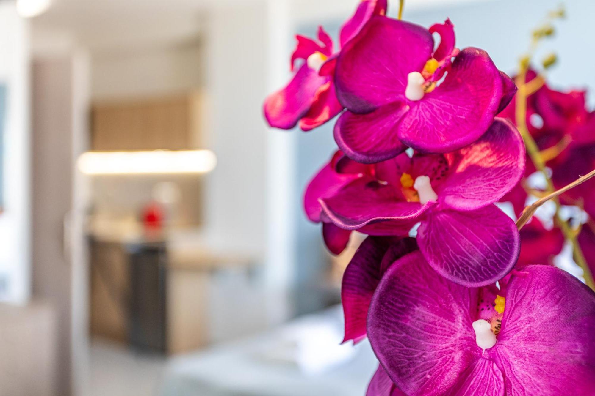 Marina Aparthotel การ์ดามมีลี ภายนอก รูปภาพ